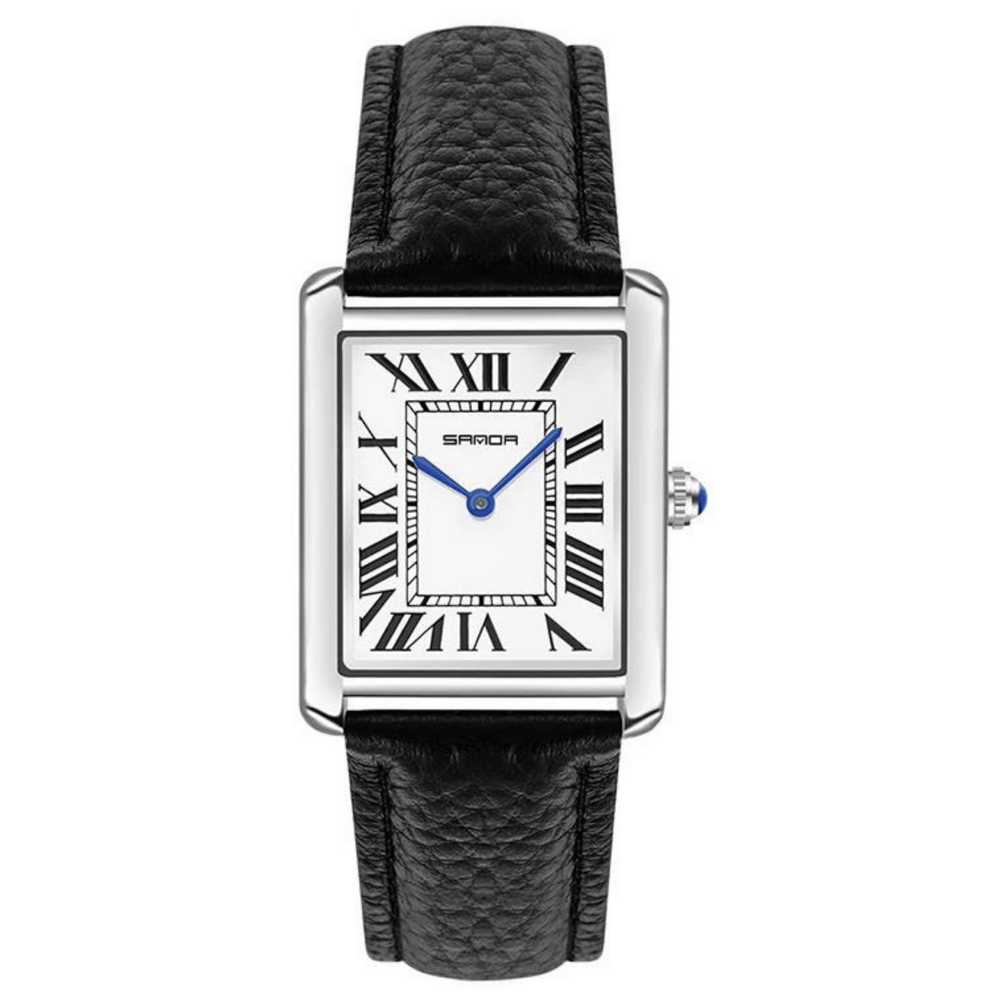 Monaco Men's Watch